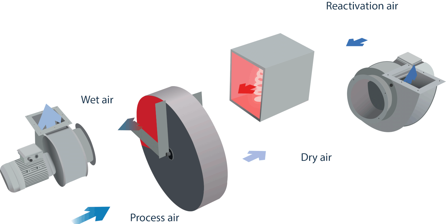 Preventing Mold & Spoilage in Cold Rooms Through Effective Dehumidification