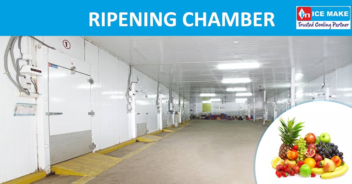 Banana Ripening Chamber Supplier in Nepal