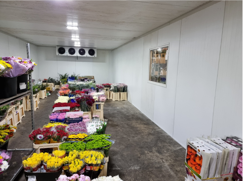 Flower Cold Storage: The Key to Preserving Freshness, Quality, and Longer Shelf Life