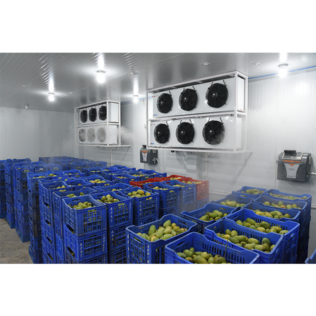 Ripening Chamber